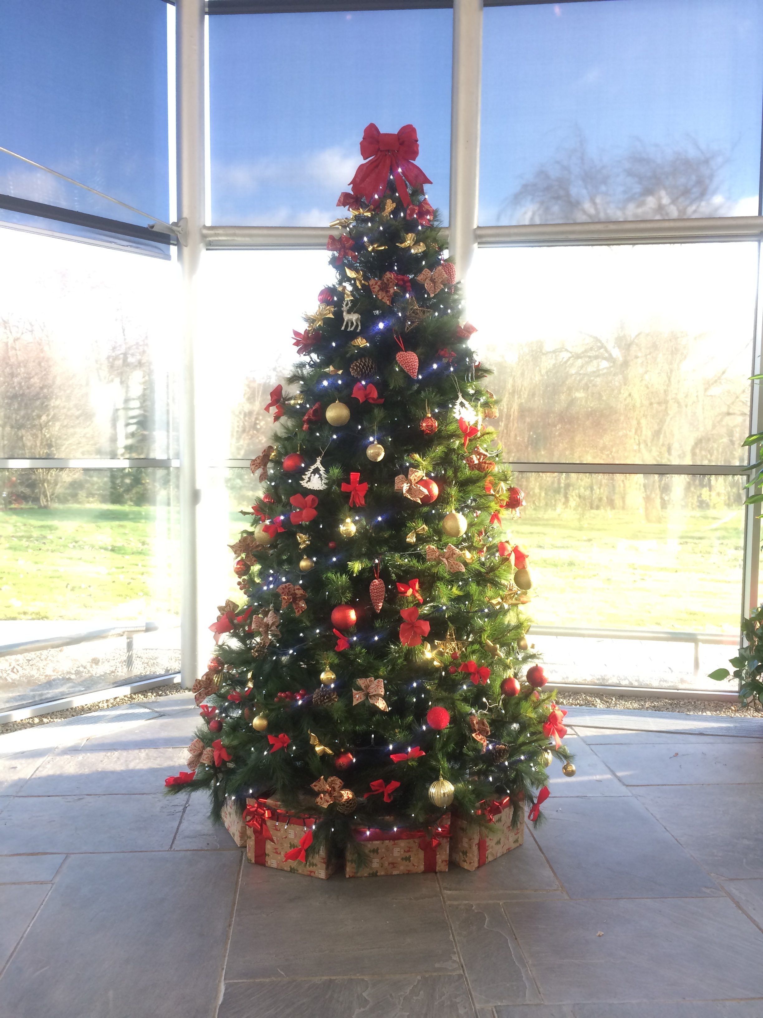 corporate christmas tree hire florist limerick flowers corporate christmas tree hire florist limerick flowers