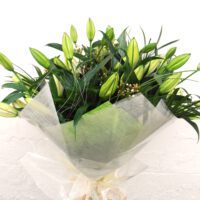 Care Tips - Lilies