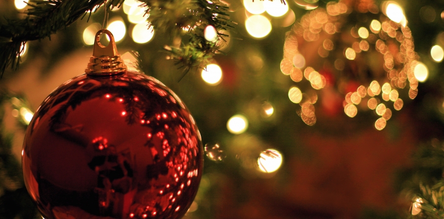 6-Christmas Tree Hire
